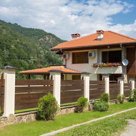 Ribaritsa Guest House Vitora מראה חיצוני תמונה