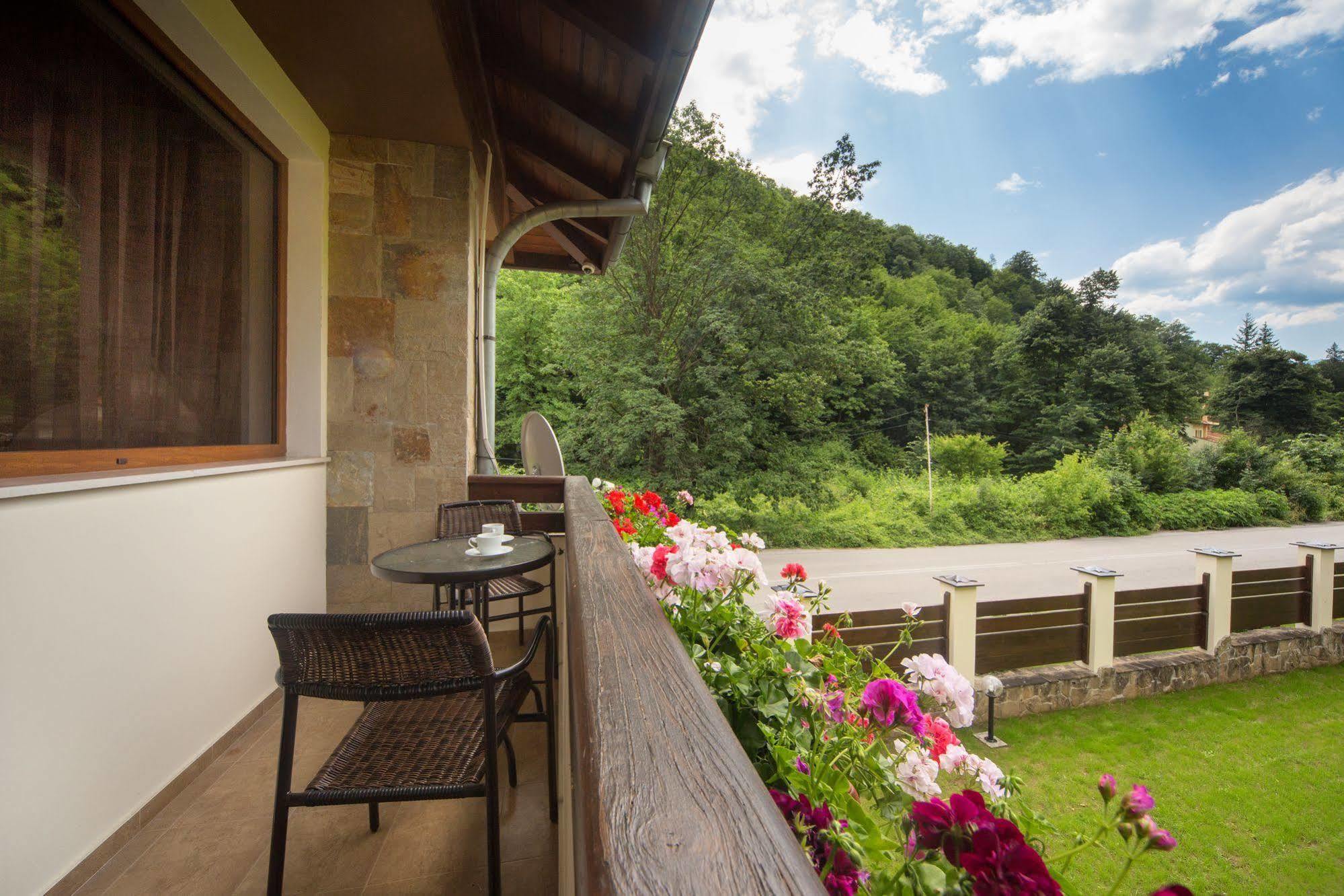 Ribaritsa Guest House Vitora מראה חיצוני תמונה